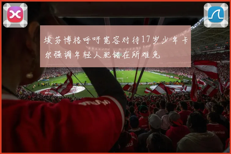 埃芬博格呼吁宽容对待17岁少年卡尔强调年轻人犯错在所难免
