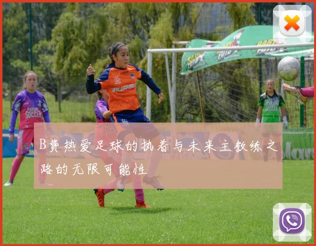 B费热爱足球的执着与未来主教练之路的无限可能性